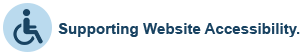 Supporting Website Accessibility
